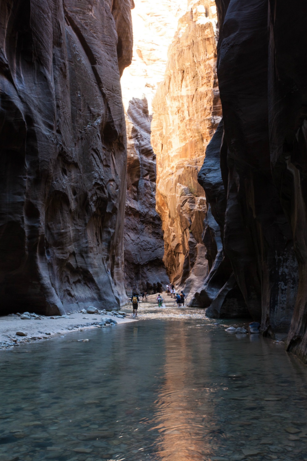 USA_Zion_095